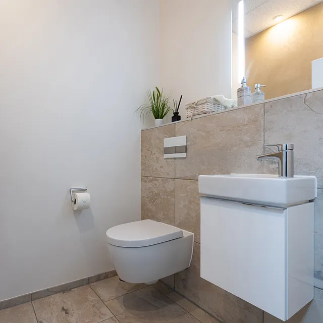 Toilette mit Wascbecken